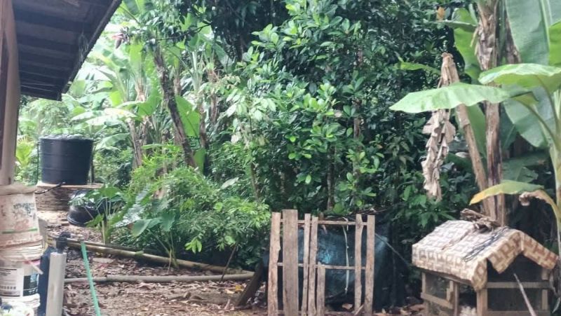 Tanah Sekali Rumah Untuk Dijual Kg Gong Bukit Kenak, Besut, Terengganu