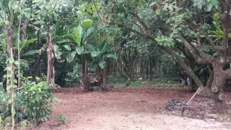 Tanah Sekali Rumah Untuk Dijual Kg Gong Bukit Kenak, Besut, Terengganu