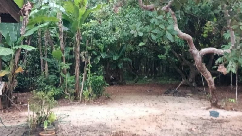Tanah Sekali Rumah Untuk Dijual Kg Gong Bukit Kenak, Besut, Terengganu