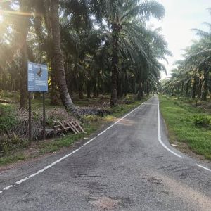 Gambar 2