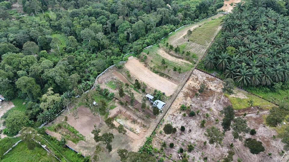 Tanah 2.45 Ekar di Semenyih