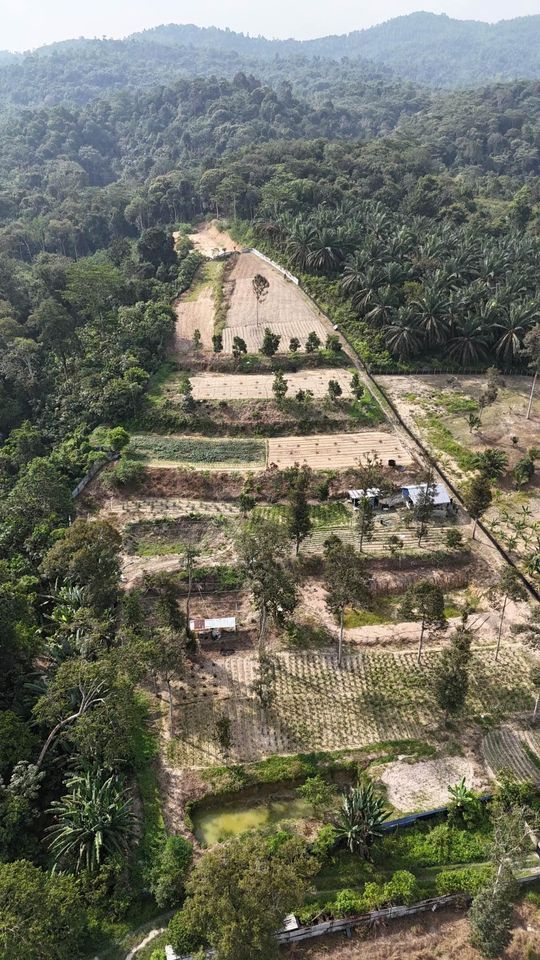 Tanah 2.45 Ekar di Semenyih