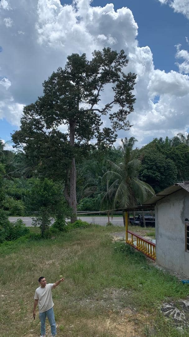 Tanah 2 ekar, Kuala Pilah Senaling, Negeri Sembilan