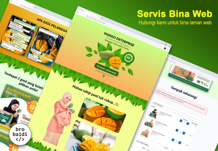 Servis bina laman web bisnes