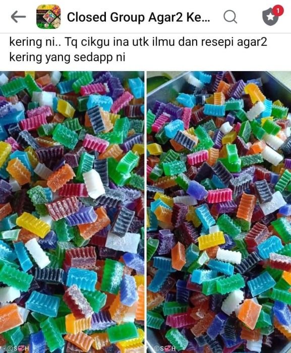 Kelas PJJ Agar-agar Kering Berperisa