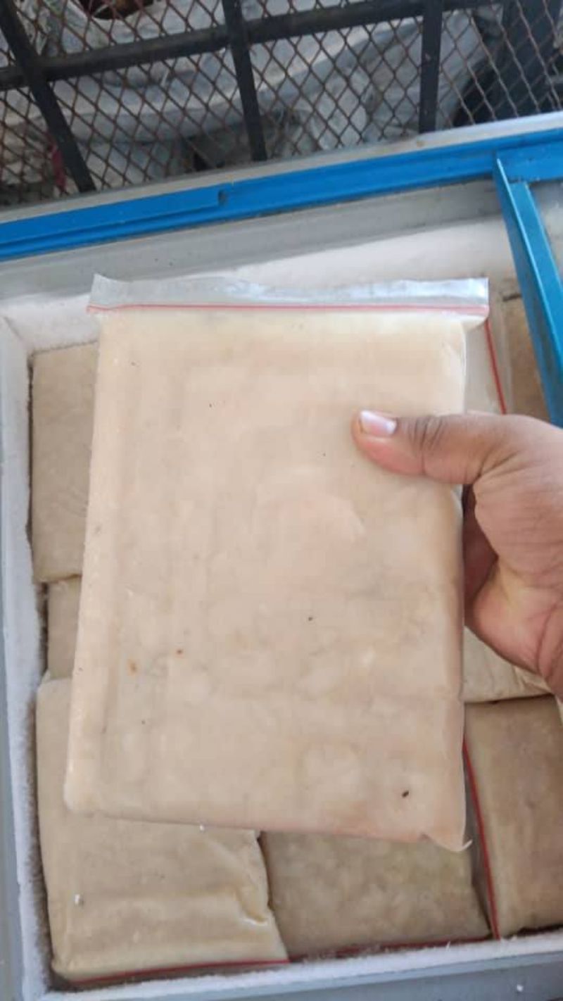 Isi Durian Belanda Frozen