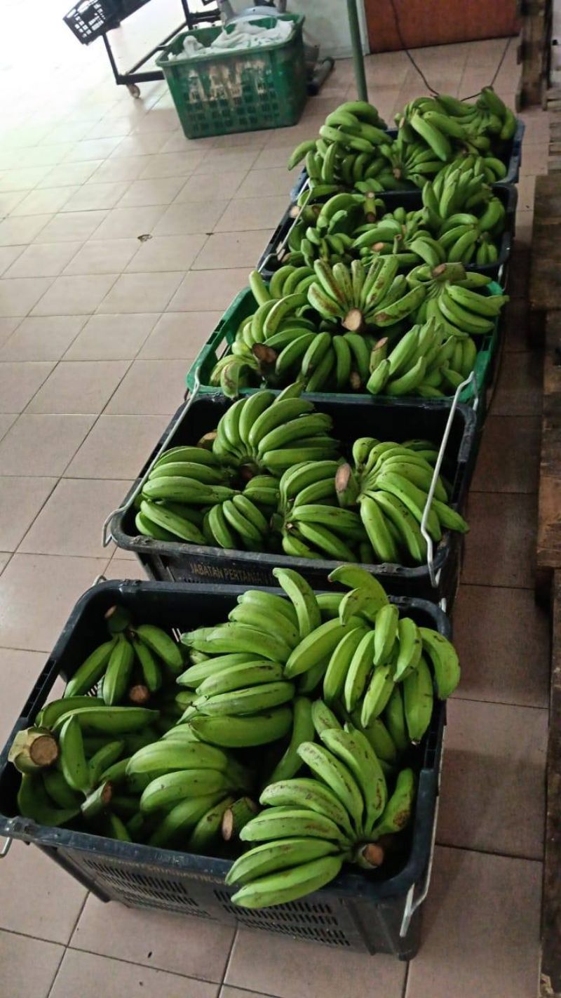 Pisang & Ubi Keledek