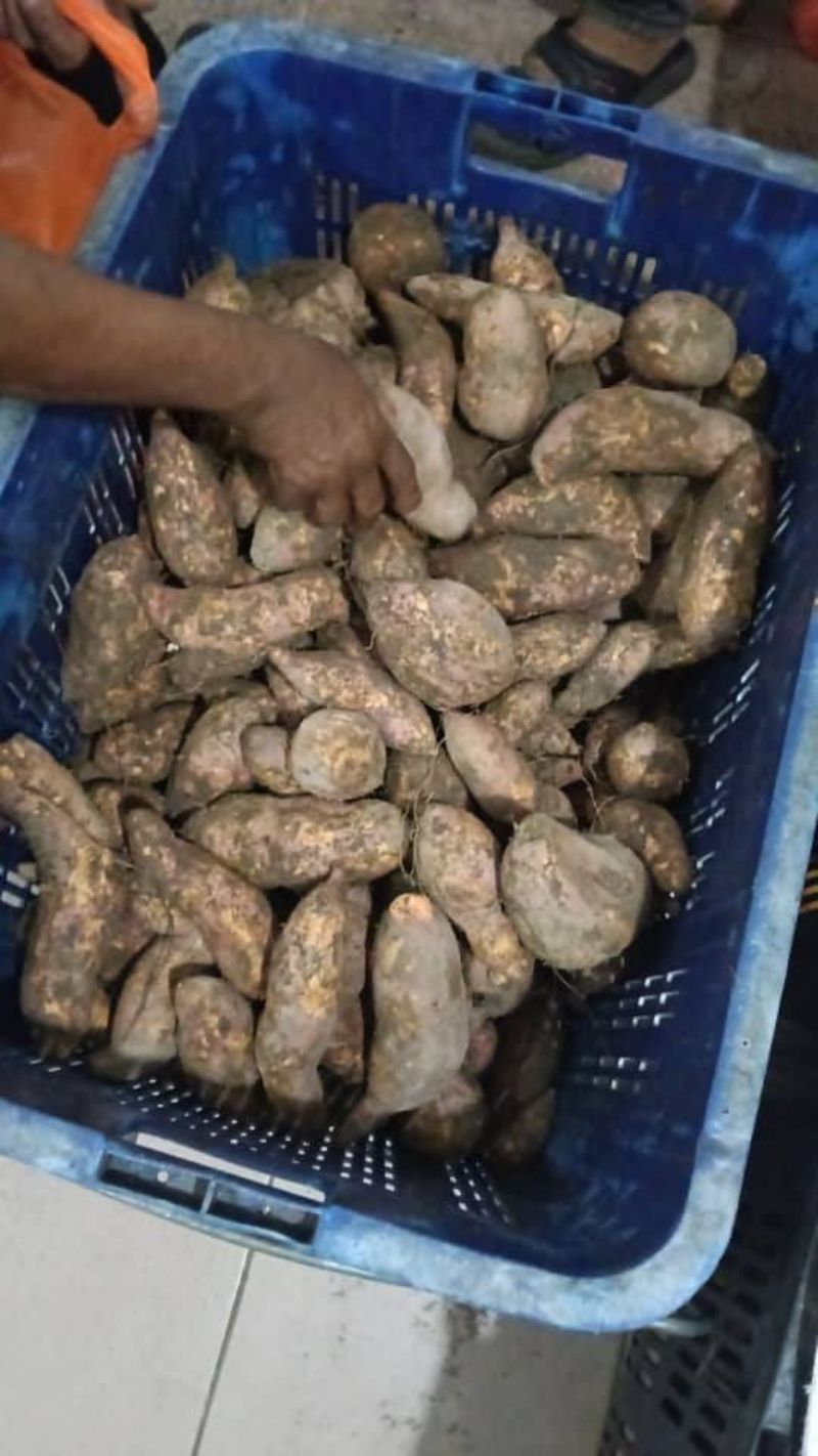 Pisang & Ubi Keledek