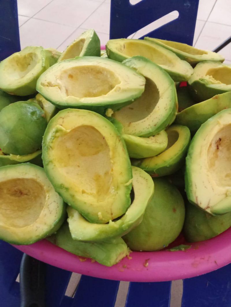 Durian Belanda Markisa Avocado Kelapa Muda