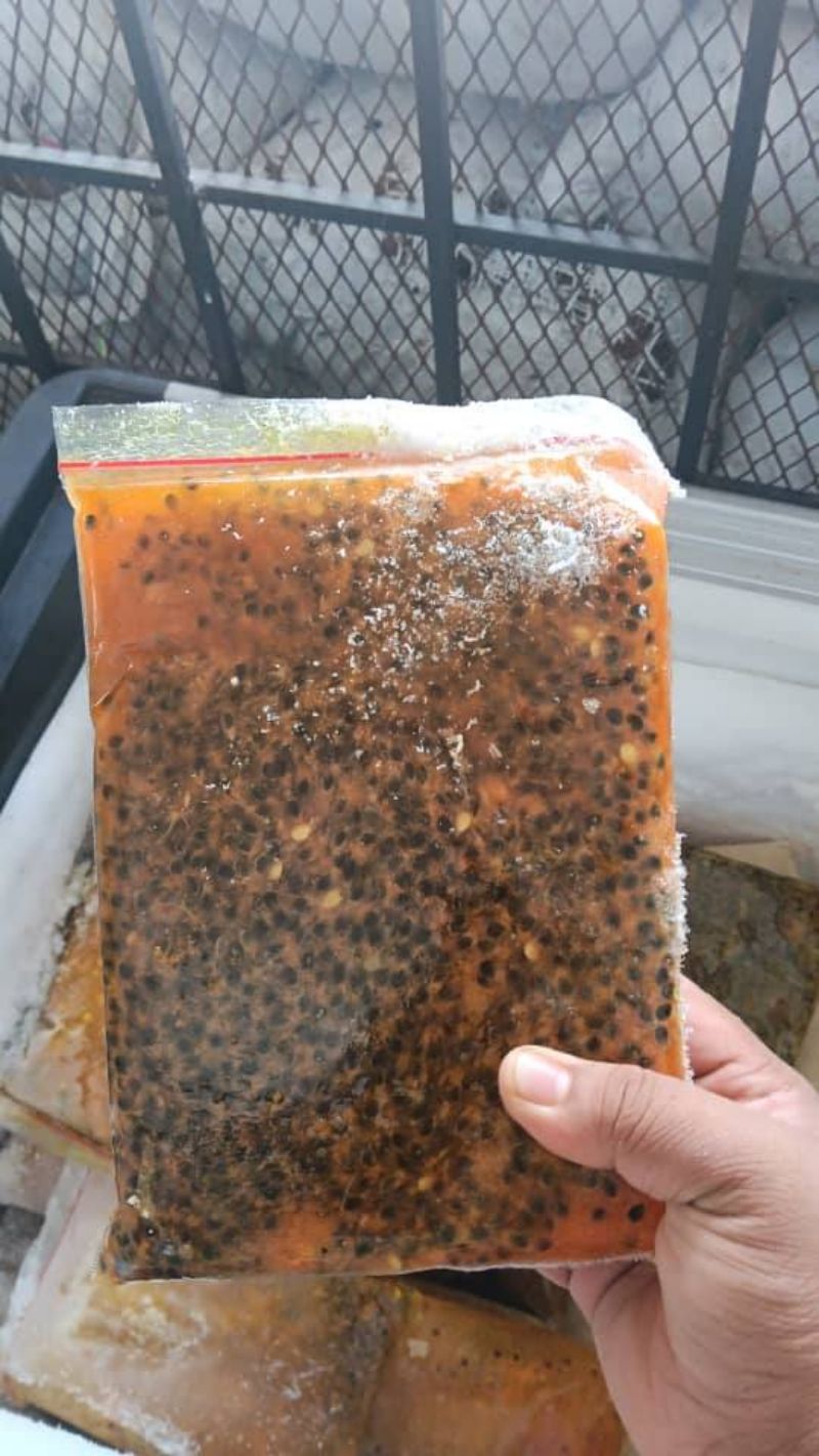 Durian Belanda Markisa Avocado Kelapa Muda