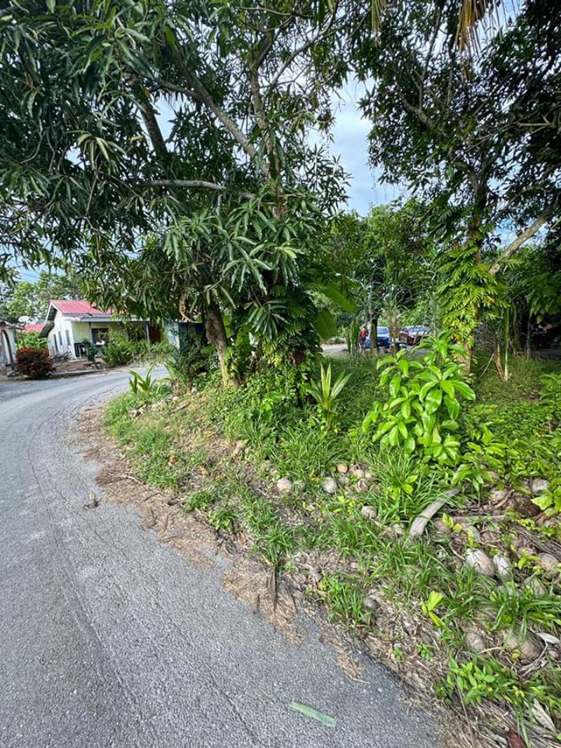Tanah bendang sesuai untuk tapak rumah