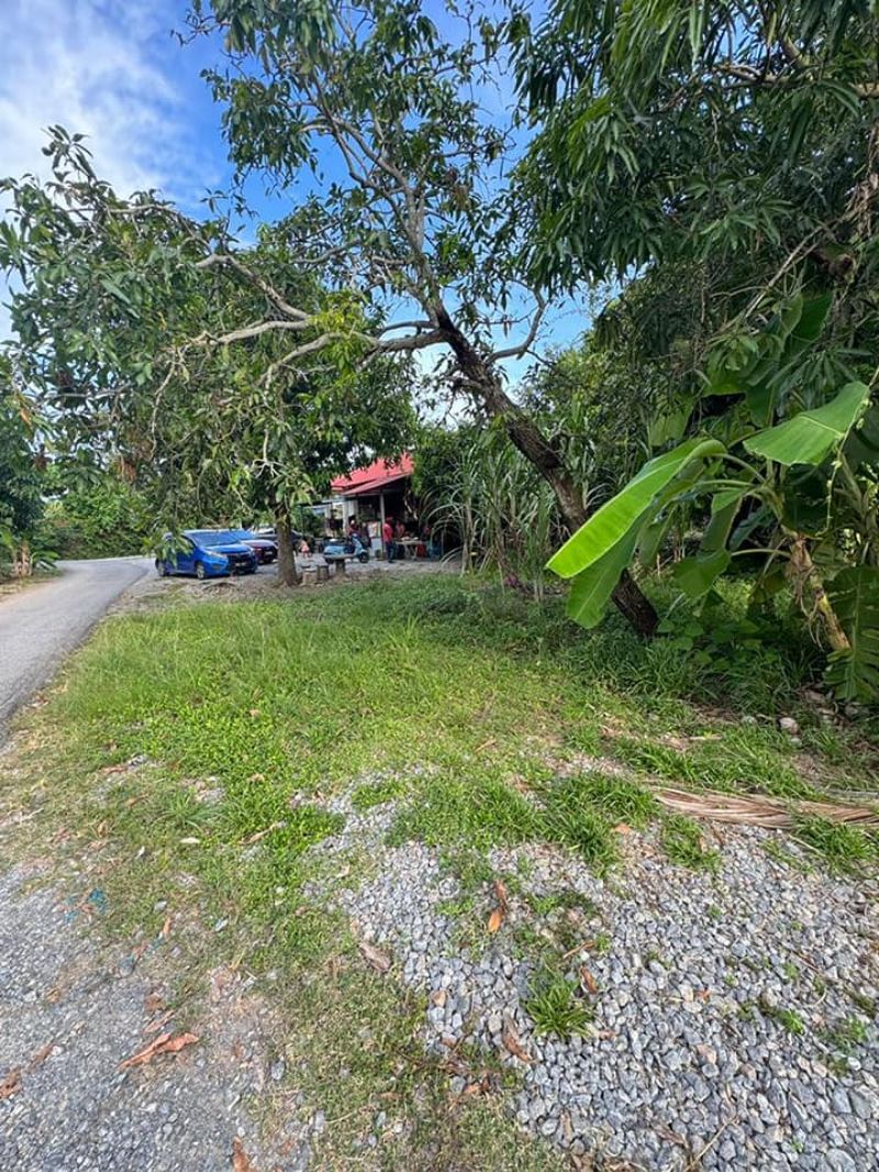 Tanah bendang sesuai untuk tapak rumah