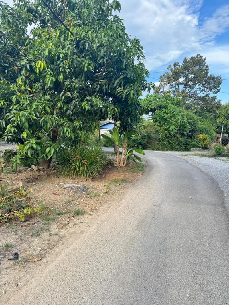 Tanah bendang sesuai untuk tapak rumah