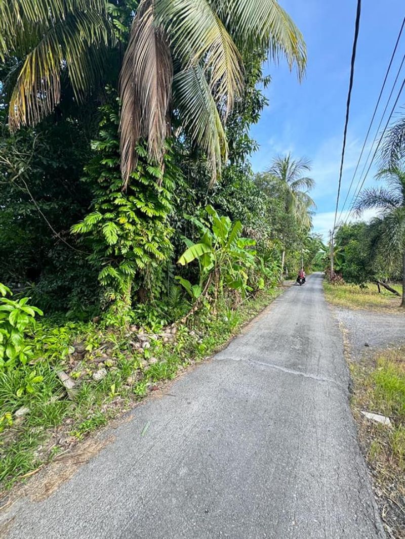 Tanah bendang sesuai untuk tapak rumah