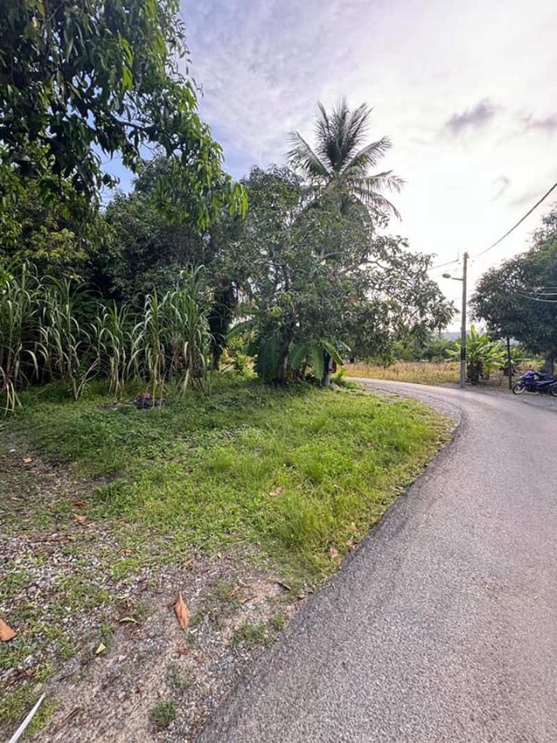 Tanah bendang sesuai untuk tapak rumah